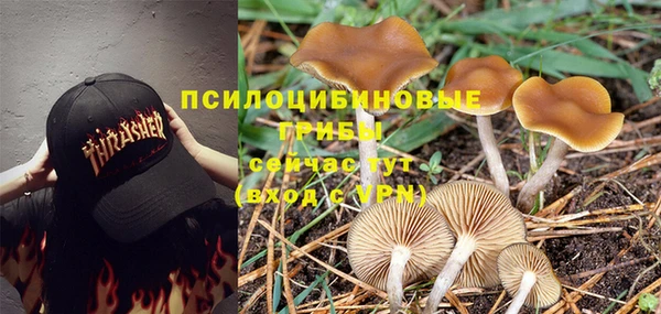 эйфоретик Коряжма