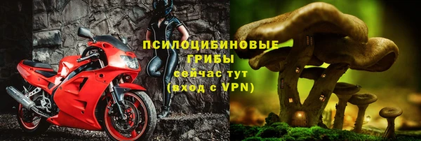 эйфоретик Коряжма