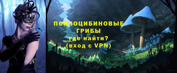 эйфоретик Коряжма